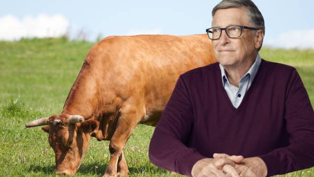Bill Gates: 'Las naciones ricas deberan comenzar a comer carne sinttica'