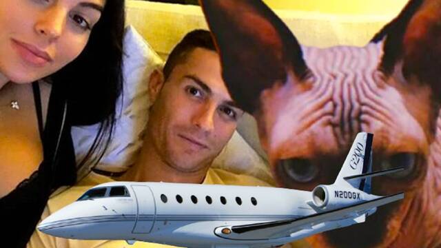 Atropellan al gato de Cristiano Ronaldo y lo manda a Espaa en jet privado para curarlo