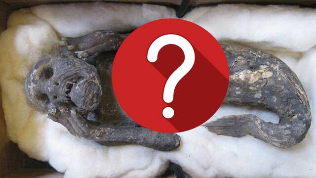 El misterio de la sirena momificada de Japn se resuelve 300 aos despus