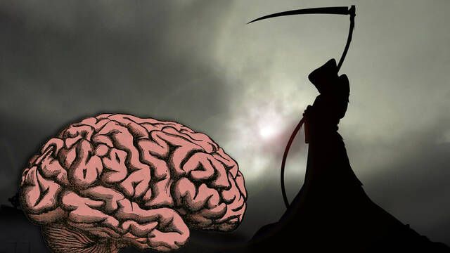 Neurocientficos logran registrar por primera vez en la historia lo que siente el cerebro justo antes de morir