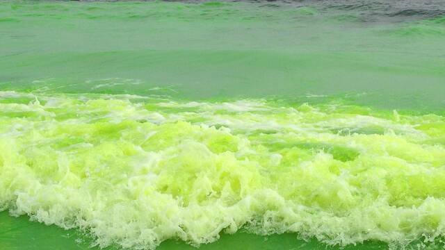 Cientficos advierten que los ocanos podran volverse verdes y no sera la primera vez que ocurre en la Tierra