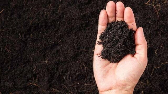 Cuando la caca val�a fortunas: as� es como este desecho transform� la econom�a mundial y hundi� a Per�