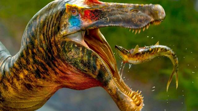 El extra�o hallazgo de un entusiasta de los f�siles: v�mito de dinosaurio de hace millones de a�os