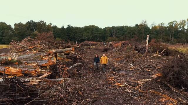 Europa tala miles de �rboles y, tras vaciar el mayor sumidero de CO2 del planeta, lo inunda para frenar el cambio clim�tico