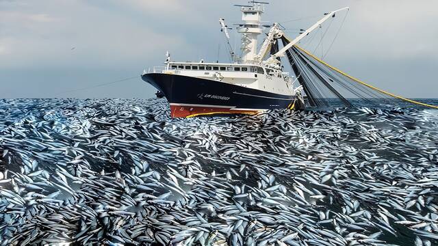 Crece la preocupaci�n entre los cient�ficos por lo que sucede en el oc�ano: 'Ni siquiera �sorprendidos� describe lo que vemos'