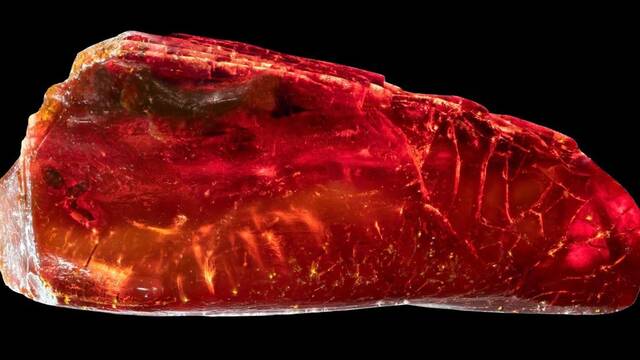 Hallazgo arqueol�gico hist�rico: encuentran una hormiga de 40 millones de a�os conservada en un �mbar de Goethe