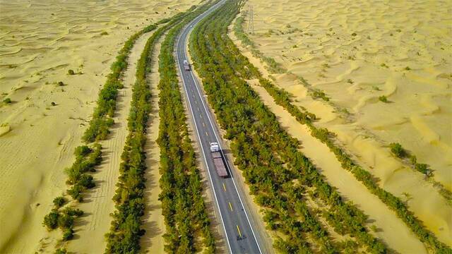 China planta millones de �rboles y ahora sufre un gran problema: el desierto absorbe demasiado CO2 y causa una crisis h�drica