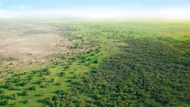 Visible desde el espacio, �frica planta un muro de �rboles de 8 km para frenar el desierto y cambiar 250 millones de vidas