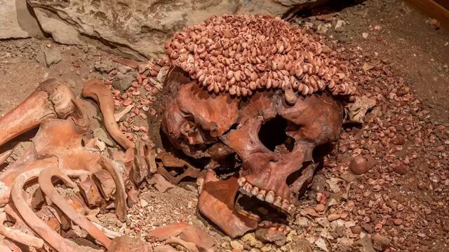 Arque�logos resuelven un crimen de hace 28.000 a�os: marcas y fracturas revelan c�mo muri� el pr�ncipe del Paleol�tico