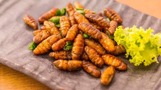 Ligia Esperanza D�az, investigadora del CSIC en Espa�a: 'Debemos comer insectos, aportan prote�nas de alta calidad'