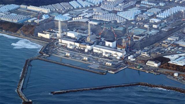 Fukushima guarda un secreto que aterra a la ciencia: unas criaturas sobreviven en la zona nuclear a pesar de la enorme radiaci�n