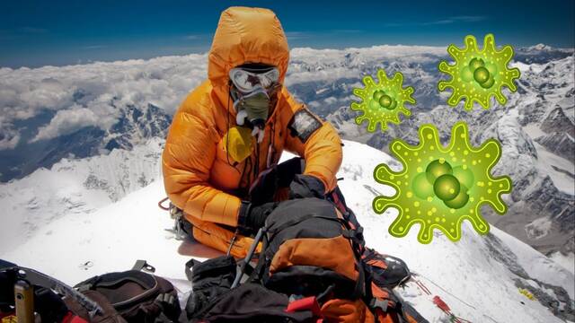 El Monte Everest est repleto de grmenes y son la clave para encontrar vida extraterrestre