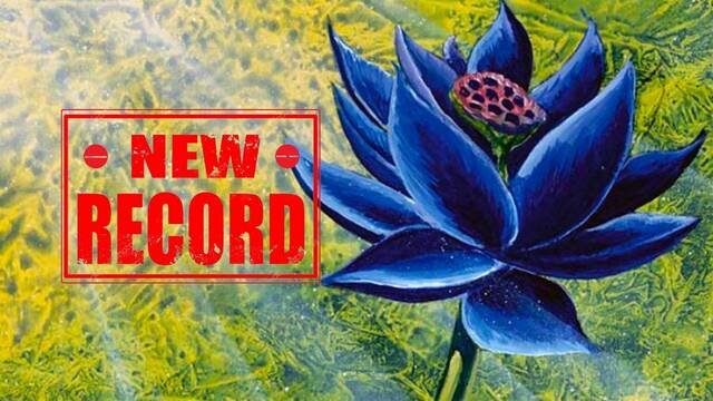 Una 'Black Lotus' de Magic se ha vendido por más de 600.000 dólares y bate otro récord