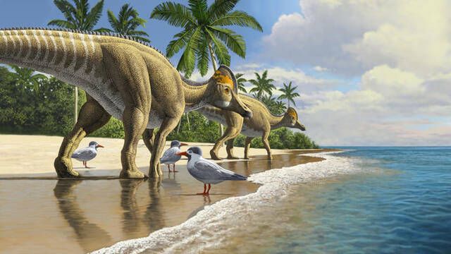 Este grupo de dinosaurios nad desde Norteamrica a Marruecos hace millones de aos y los paleontlogos se preguntan el motivo