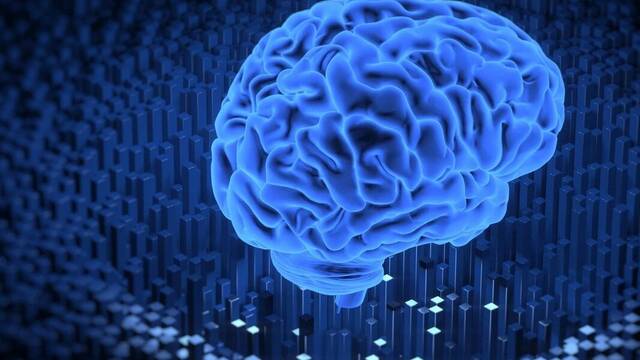 No es ciencia ficcin: desarrollan el primer ordenador con clulas cerebrales humanas