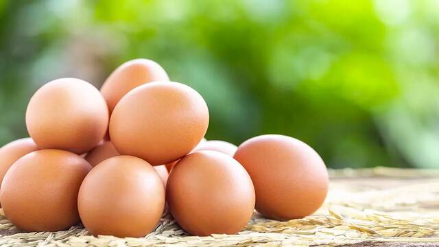 El precio de los huevos sigue subiendo en Espaa y nos acercamos a un escenario crtico como el visto en EE.UU