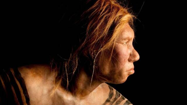 Un nuevo hallazgo arroja luz a la extraa relacin entre el Homo sapiens y los neandertales