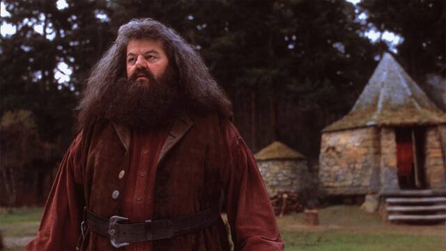 La serie de 'Harry Potter' de HBO encuentra al nuevo Hagrid y es perfecto: un mtico actor de comedia ficha por Warner