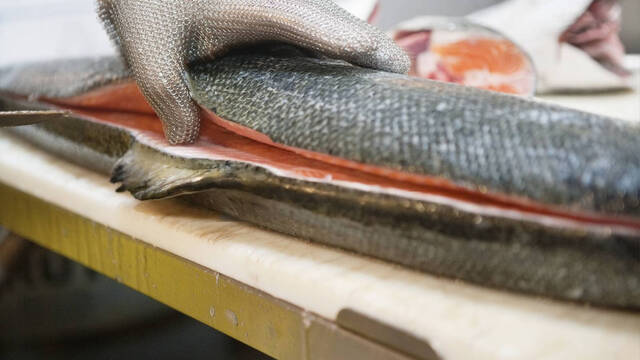 El pescado estrella de muchas casas acumula hasta 70 par�sitos adem�s de qu�micos t�xicos y as� afecta a tu salud