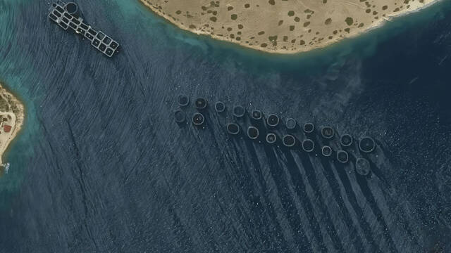 Tras a�os de teor�as, cient�ficos descubren que unos misteriosos c�rculos del fondo marino en realidad estaban vivos