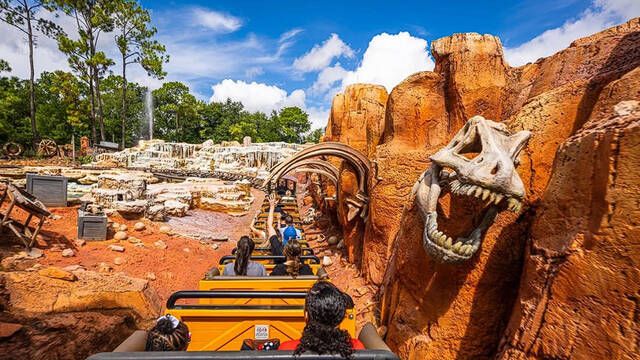 Cientficos demuestran que esta montaa rusa de Disney World puede ser el mejor remedio para los clculos renales