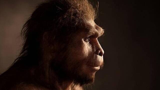 Est�bamos equivocados: un nuevo descubrimiento cambia la historia de la humanidad y los or�genes del Homo sapiens