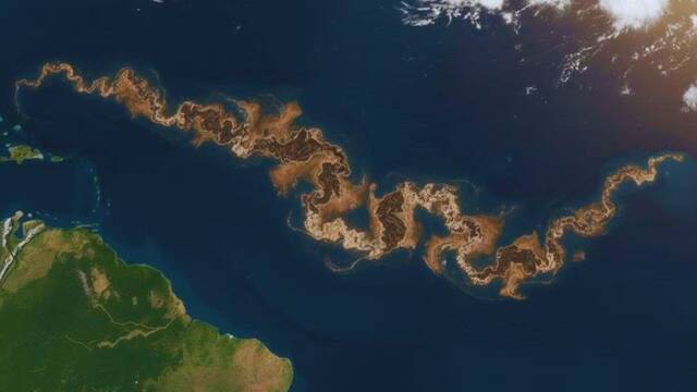 EE.UU. vigila una enorme cinta marr�n que cruza el Atl�ntico desde hace 10 a�os y no deber�a estar ah�: tiene 8.000 km de largo