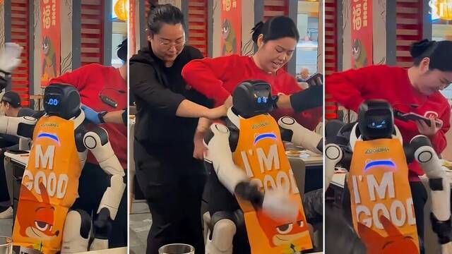 Caos en un restaurante de EE.UU.: un robot camarero fuera de control destroza platos y acaba reducido por el personal