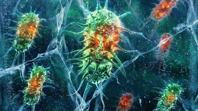 Crece la preocupaci�n entre los cient�ficos: una bacteria de 5000 a�os desaf�a a la medicina y resiste 10 antibi�ticos actuales