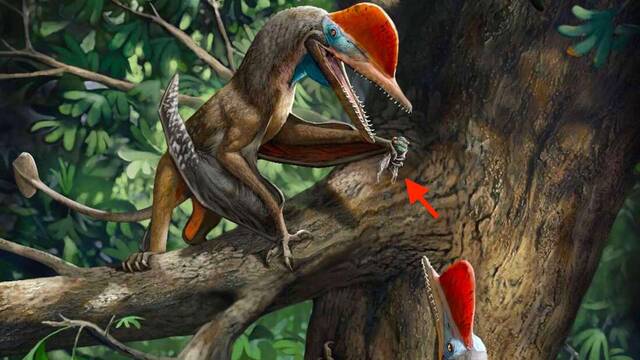 As fue el primer pterosaurio con pulgar oponible como el nuestro