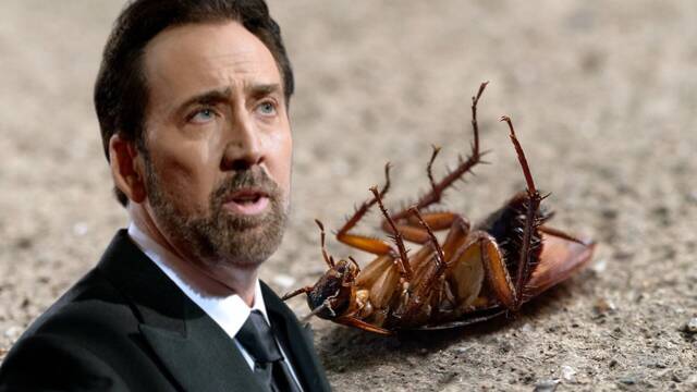 Nicolas Cage desvela su peor experiencia en el cine: Se comi dos cucarachas vivas