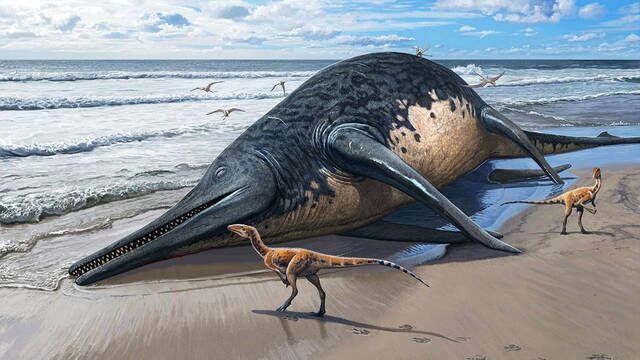 Descubren los restos del reptil marino ms grande de la historia que convivi con los dinosaurios