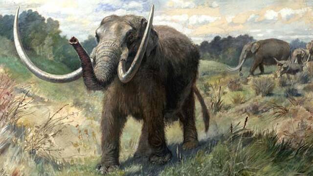 Un coloso del pasado emerge en EE.UU.: hallan el fsil de un mastodonte intacto de 13.600 aos de antigedad
