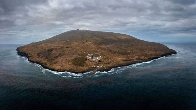Una estirpe de vacas abandonadas en una isla sobreviven un siglo sin humanos, desafiando a la evolucin, y no acaban bien
