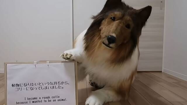 Toco, el japons que vive como un perro, lucha por salvar su zoo para 'animales humanos' y pide ayuda a sus seguidores