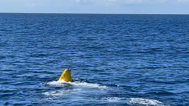 Un pescador detecta temperaturas rcord cerca de la costa australiana y la zona se llena de peces que no deberan estar all