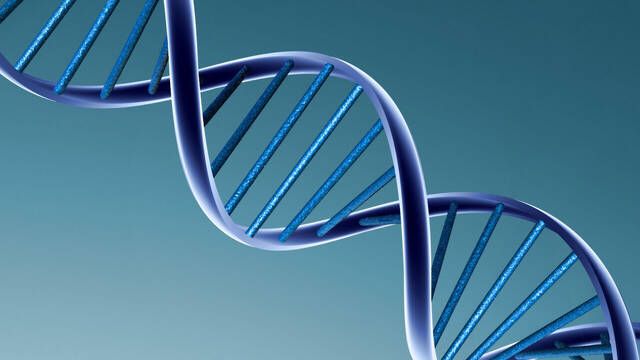 El 20% de nuestro ADN podr�a venir de una poblaci�n perdida que potenci� nuestra inteligencia