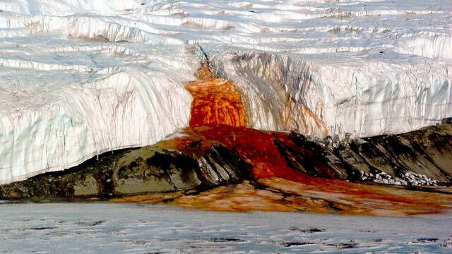No es una escena de terror, en la Antrtida hay una espectacular cascada de sangre y su origen segn cientficos es natural