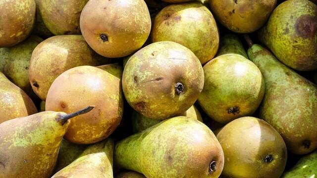 Se acab el desperdicio de comida en Espaa: Esta ley obliga a supermercados a vender alimentos 'feos' de forma diferente