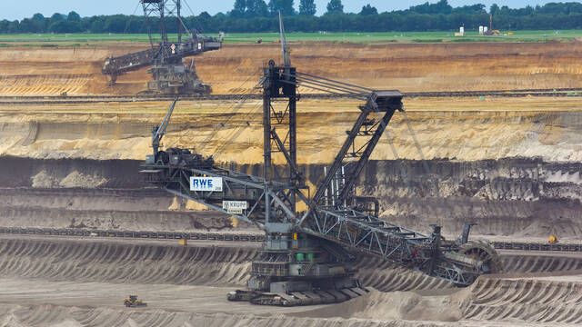 Cient�ficos hallan hongos que 'comen' oro y ahora investigan su uso en la miner�a en otros planetas