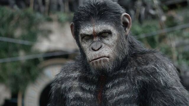 Los expertos coinciden: estalla la gran guerra entre chimpanc�s de Uganda y provoca el evento m�s violento de la especie