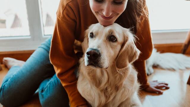 Los educadores caninos espa�oles coinciden: los perros pueden tener su persona favorita y no siempre es quien les da de comer
