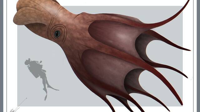 Cient�ficos at�nitos encuentran un pulpo gigante de 18 metros de largo que domin� los mares hace m�s de 70 millones de a�os