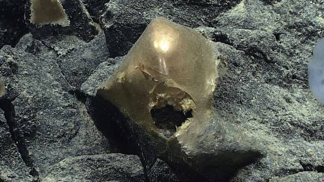 Estados Unidos resuelve el misterio de la esfera dorada que apareci� en el fondo del mar de Alaska a m�s de 3.000 metros