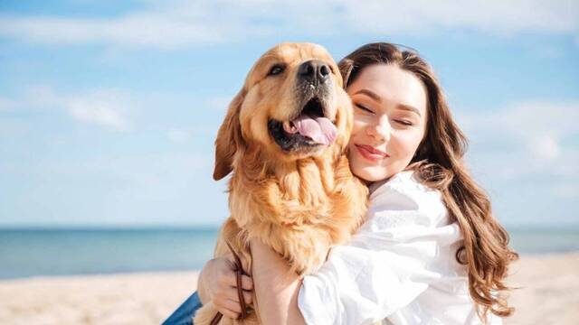 Ya ha entrado en vigor: Espa�a confirma primera vez al animal de compa��a como 'v�nculo significativo de las personas'