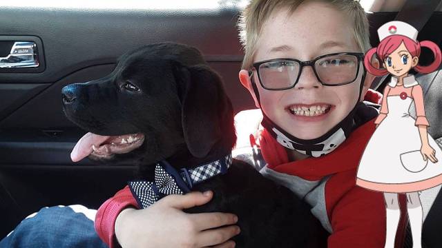 Un nio de Virginia vendi sus cartas Pokmon para curar a su perro