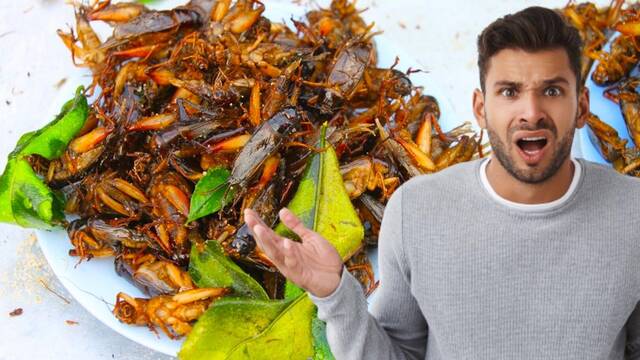 �Es bueno comer insectos? Expertos respaldan su ingesta