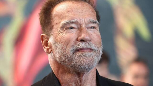 Arnold Schwarzenegger tendrá su propia serie documental de la mano de  Netflix - Vandal Random
