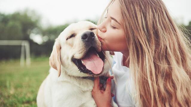 La ciencia lo demuestra: un estudio espaol confirma los beneficios de tener perro para la salud mental