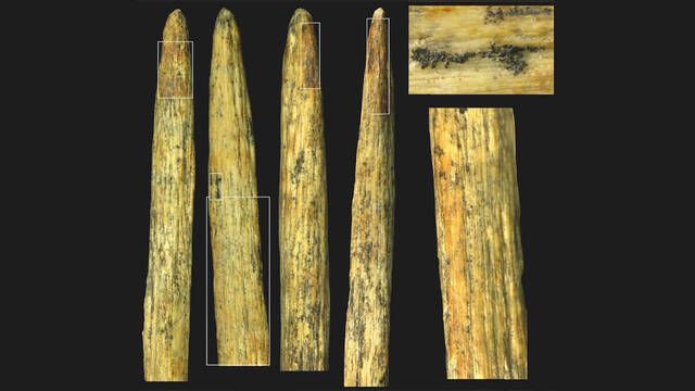 Arquelogos descubren la punta de lanza sea ms antigua de Europa y al parecer es todo un misterio cientfico
